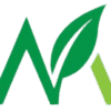Medicantology icon